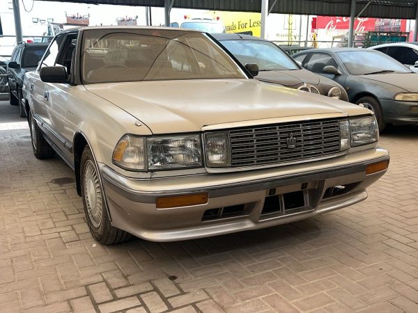 WhatsApp Image 2026-02-08 at 10.36.18 AM