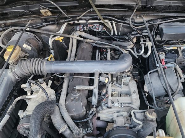 WhatsApp Image 2026-02-08 at 10.42.29 AM