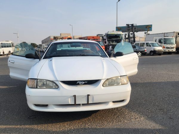 WhatsApp Image 2026-02-08 at 10.44.05 AM