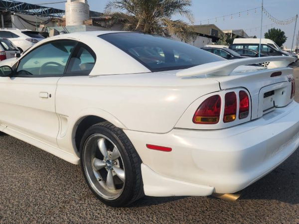 WhatsApp Image 2026-02-08 at 10.44.06 AM (1)