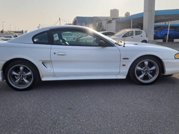 WhatsApp Image 2026-02-08 at 10.44.06 AM