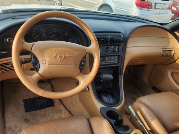 WhatsApp Image 2026-02-08 at 10.44.07 AM