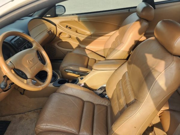 WhatsApp Image 2026-02-08 at 10.44.08 AM (1)