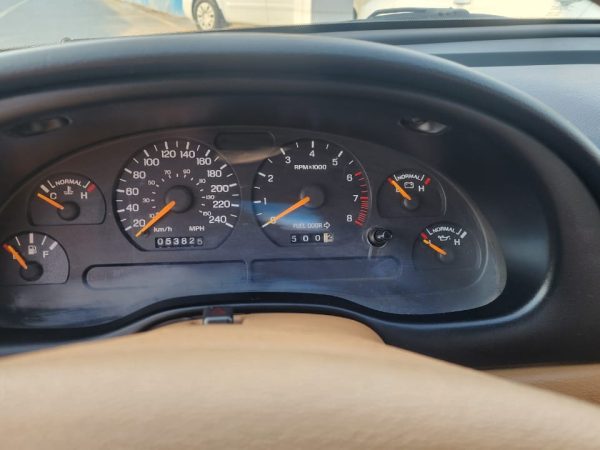 WhatsApp Image 2026-02-08 at 10.44.08 AM