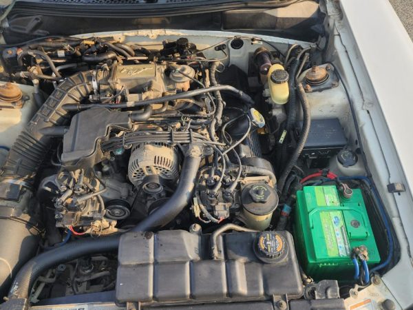 WhatsApp Image 2026-02-08 at 10.44.11 AM (1)