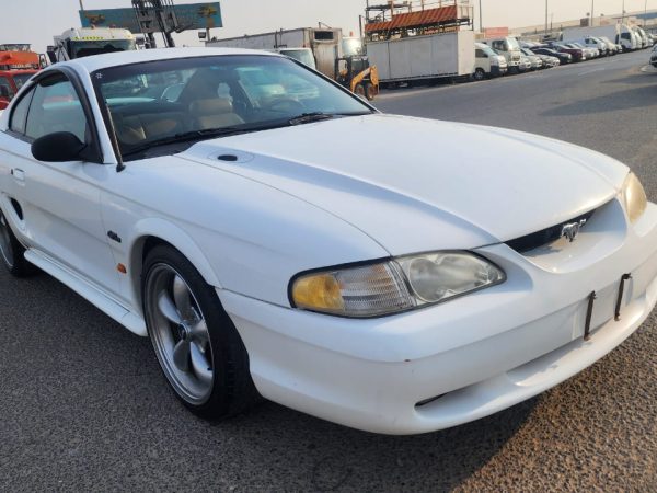 WhatsApp Image 2026-02-08 at 10.44.11 AM