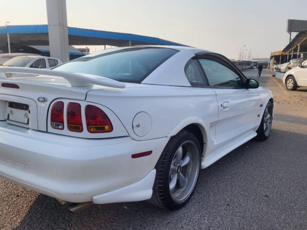 WhatsApp Image 2026-02-08 at 10.44.12 AM