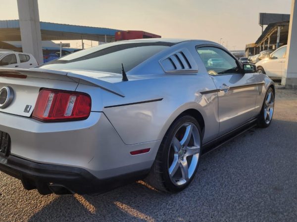 WhatsApp Image 2026-02-08 at 10.44.49 AM